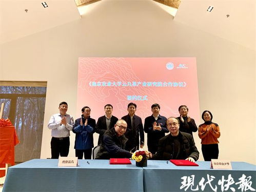 茶葉也能做親子鑒定？南農(nóng)大突破性技術(shù)即將在南京落地推廣